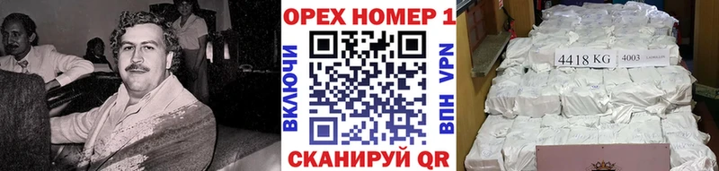 mega ТОР  Луга  Кокаин Эквадор 
