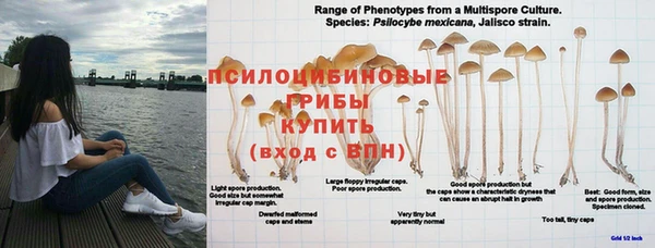 прущие крисы Абдулино