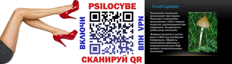 Псилоцибиновые грибы мицелий Луга